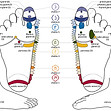 chakra foot reflexology chart new resized(1).jpg