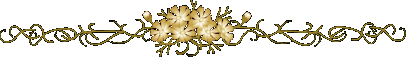 3_3.gif