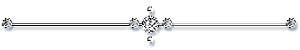 bb55.gif