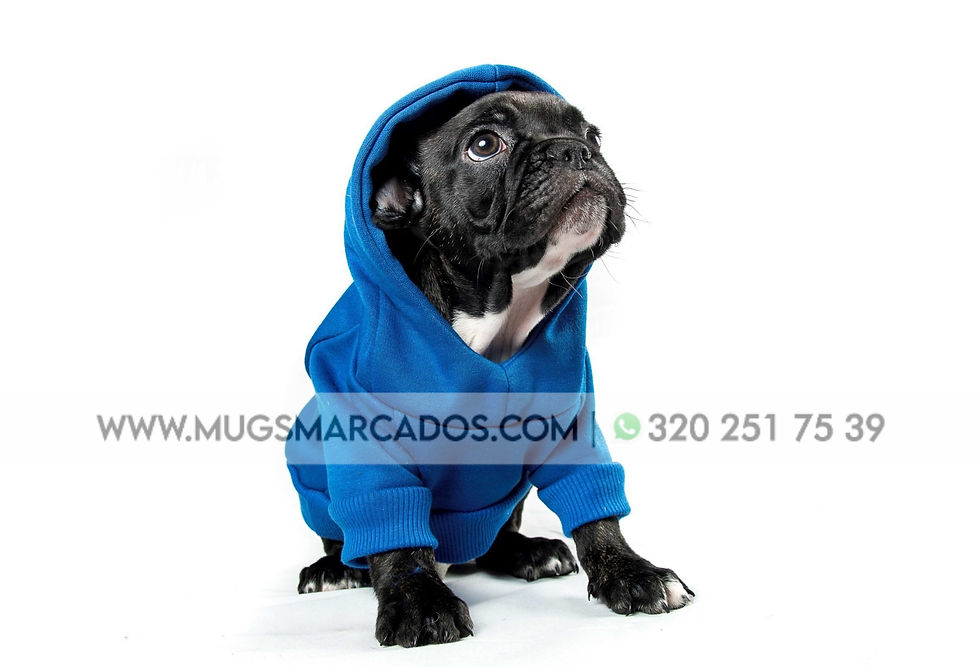 Miniatura: Buzos Para Perros | Buzos Personalizados | Regalos para Mascotas