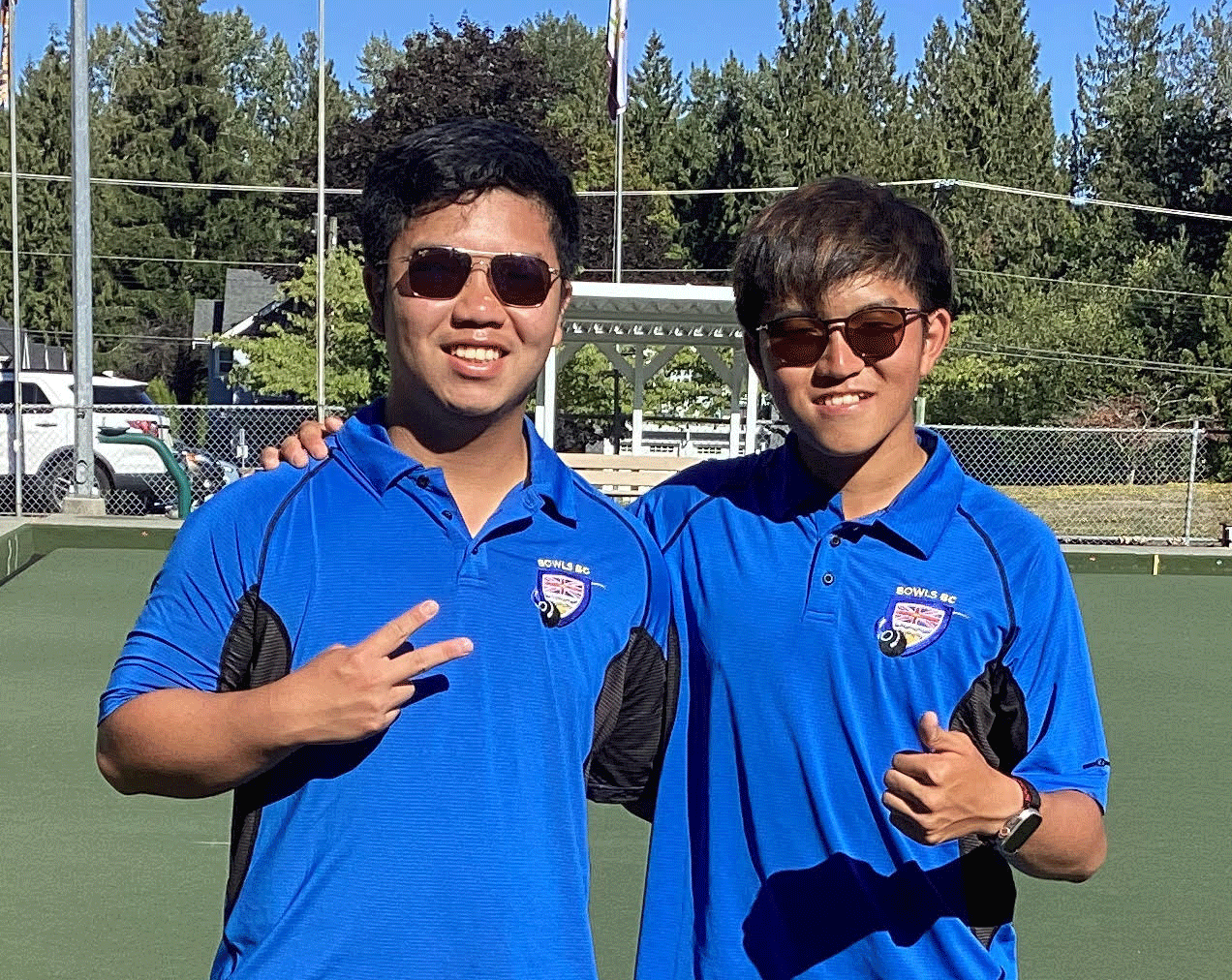 V-&-D-Inter-Pairs-1.gif