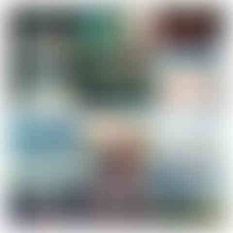 Pam Jenoff Kelly Rimmer Madeline Martin Jenny Lecoat Steven Hartov