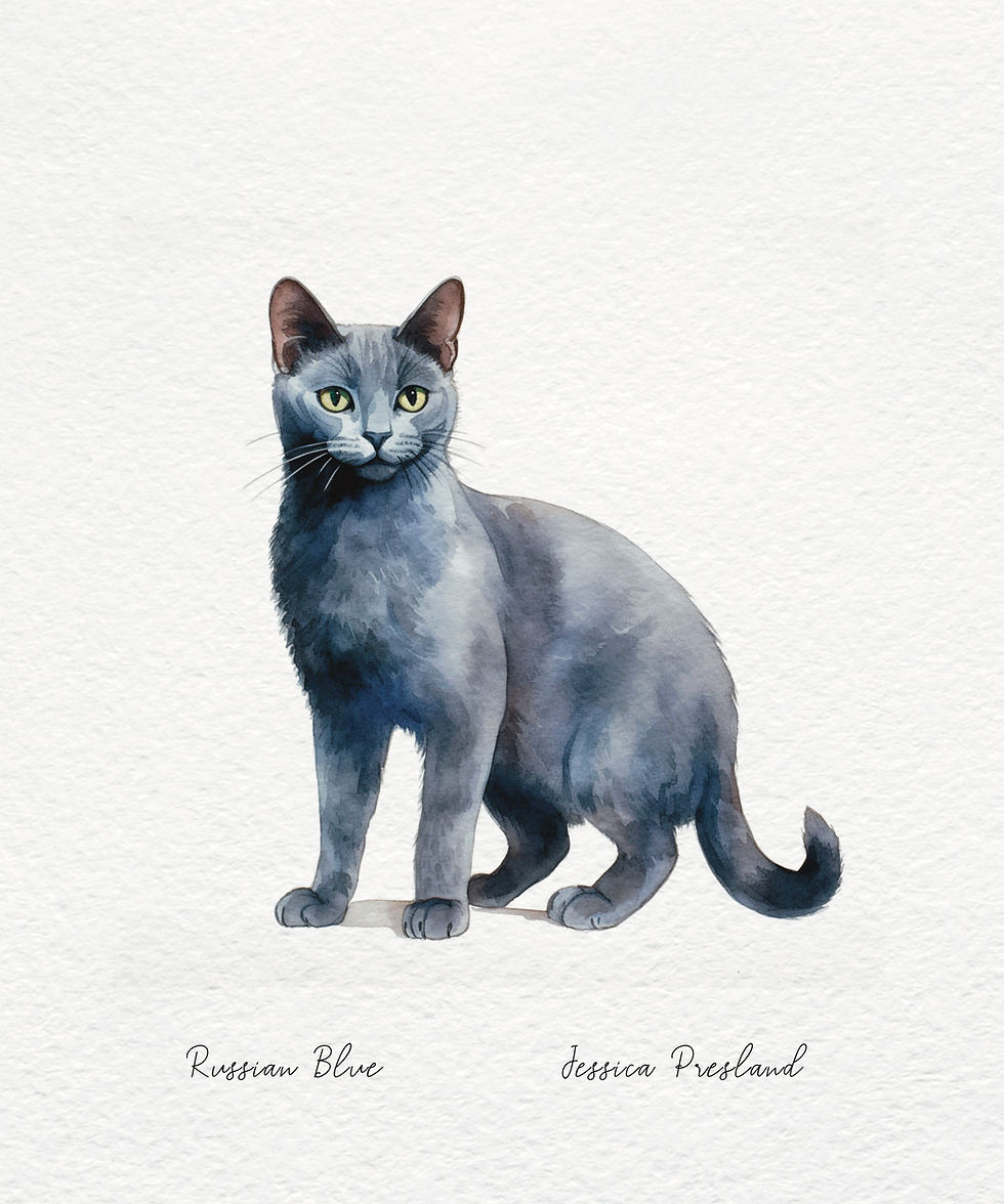 Thumbnail: Cats: Russian Blues