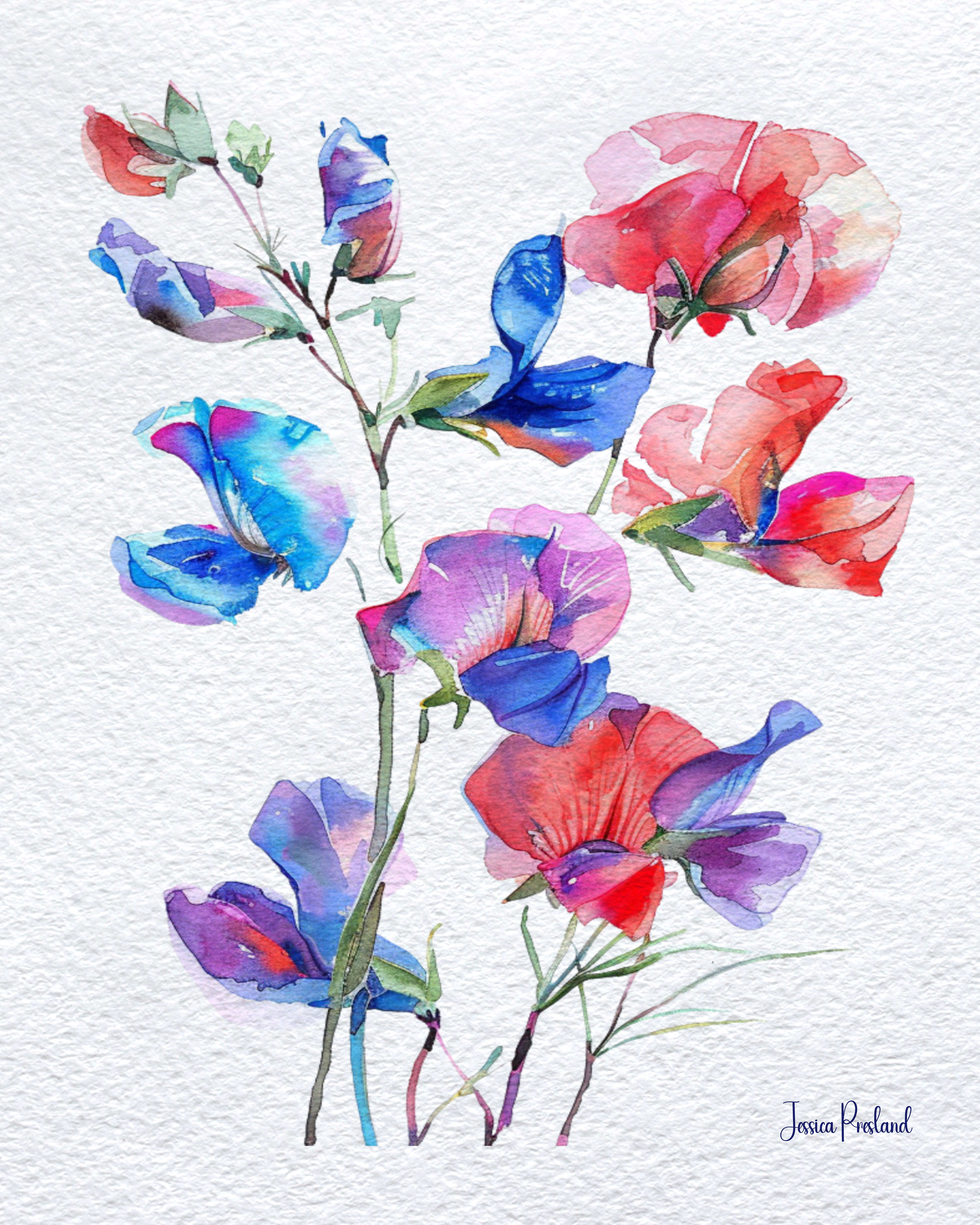 Sweet Peas 2