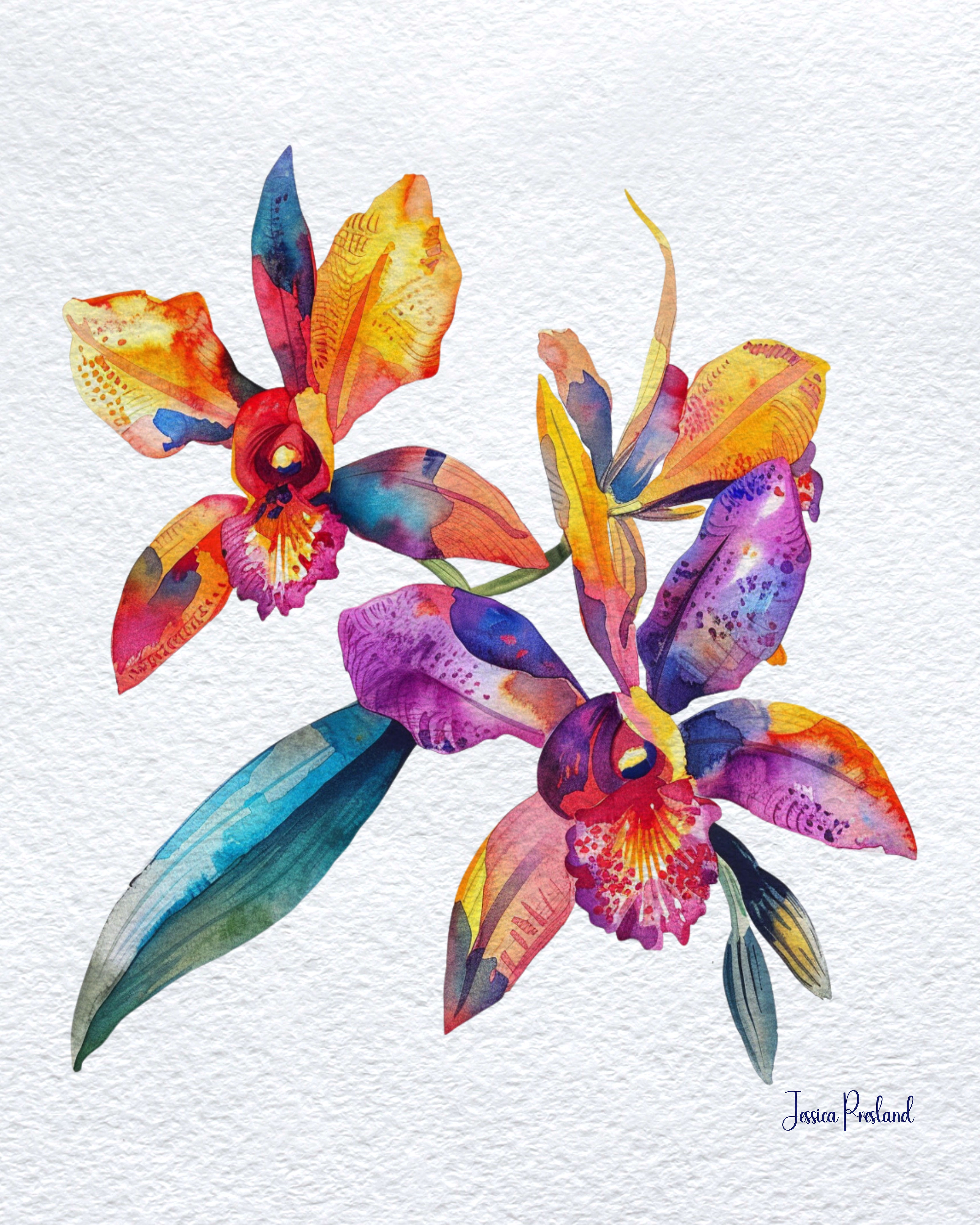 Orchid 5