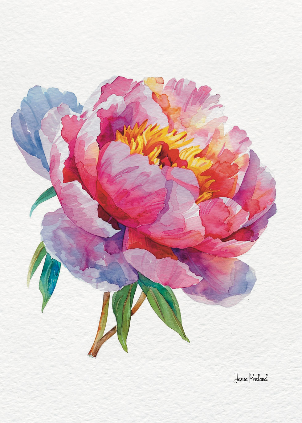 Peony 12