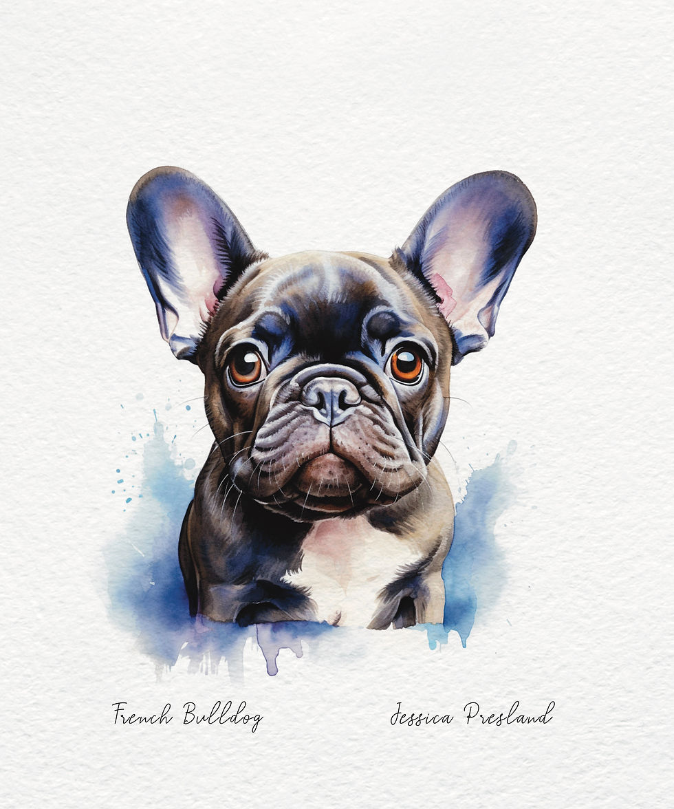 Thumbnail: Dogs: French Bulldog 4