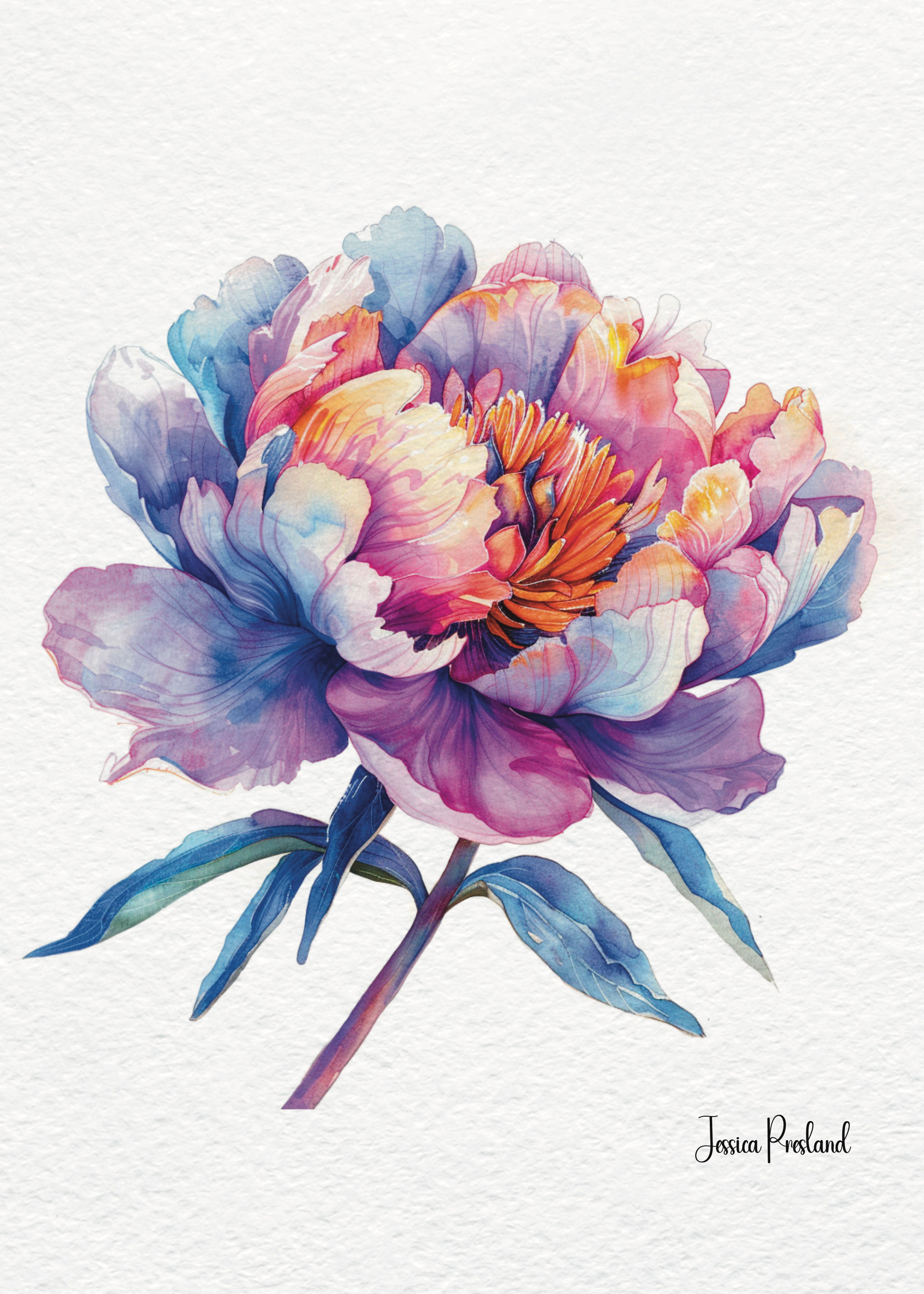 Peony 11