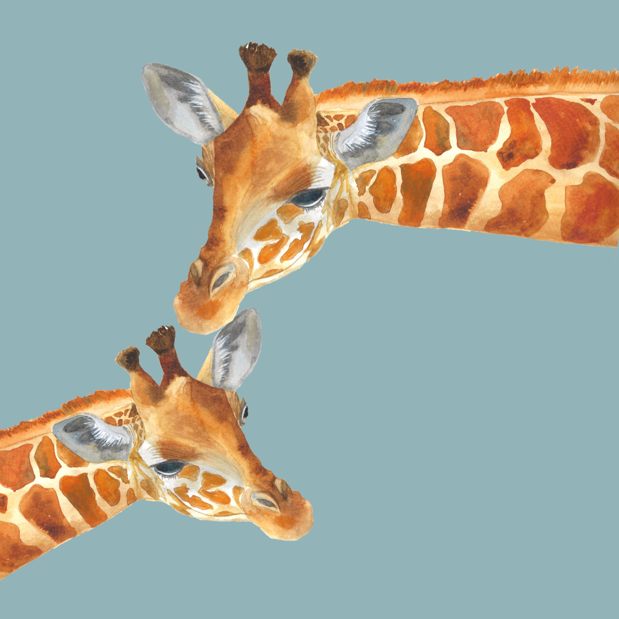 Giraffe & Baby
