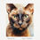 Thumbnail: Cats: Burmese