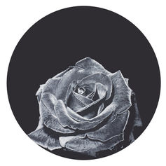 Gül Kırmızısı,Ø-130cm, Tuval üzerine akrilik, 2014 .jpeg