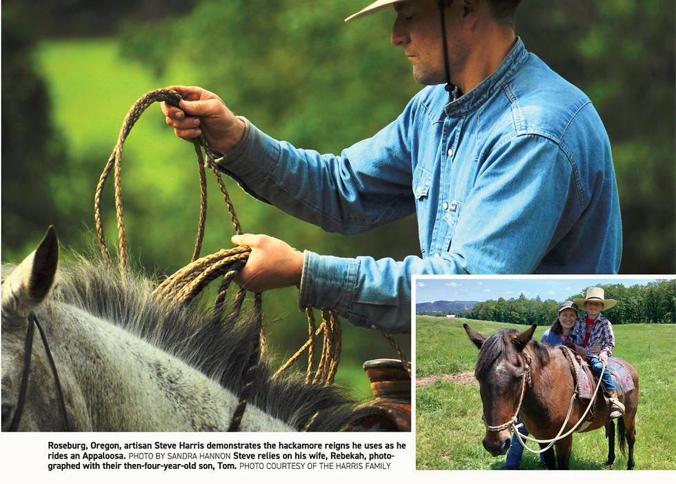 ruralite_Western Arts Pg 1 layout_edited