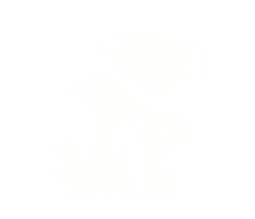15.png