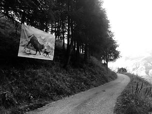 image00042.jpeg