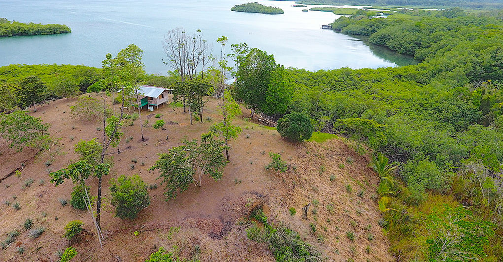 Bird view of the property