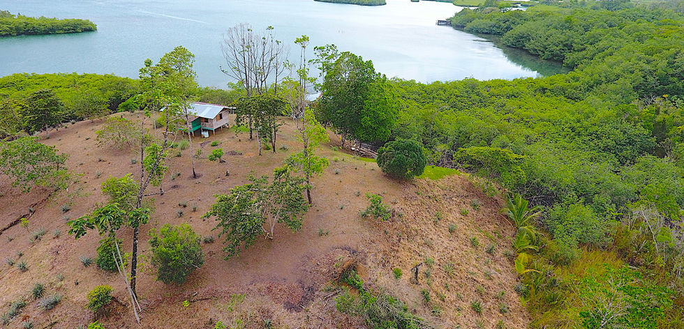Bird view of the property