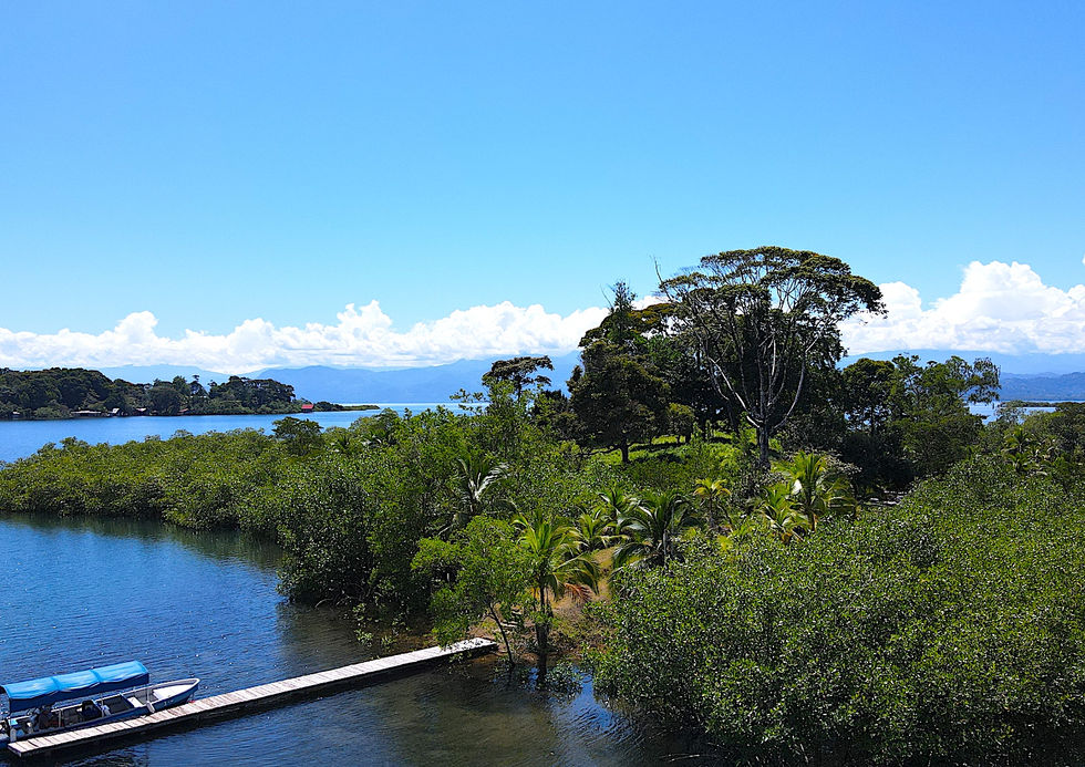 Island bird view