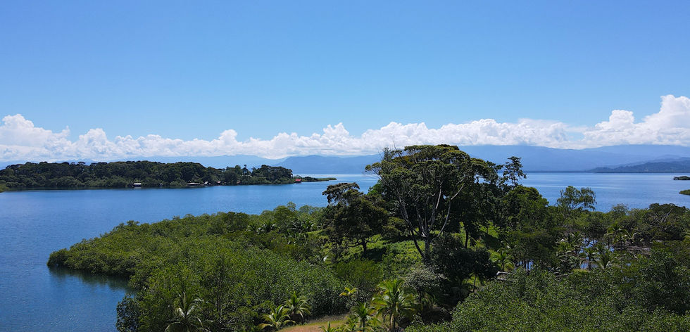 Island bird view
