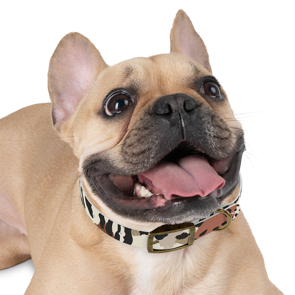 Thumbnail: Abstract Earthtone Camo Dog Collar