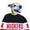 Thumbnail: Nebraska Fan