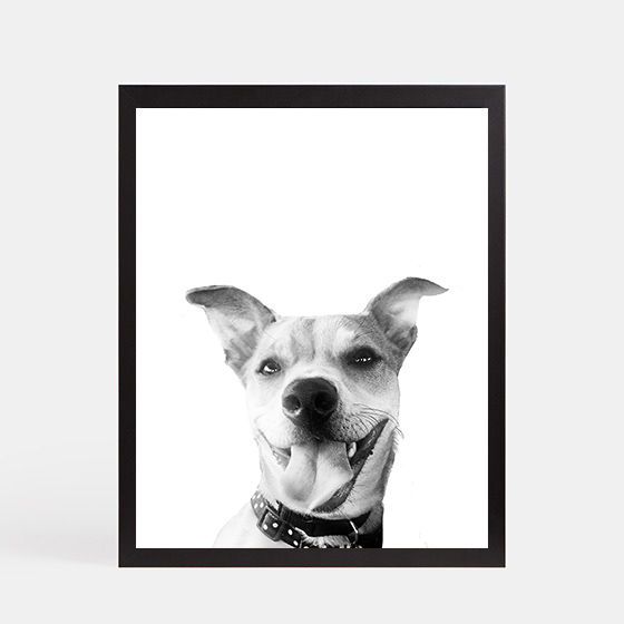 Thumbnail: Pop Up Pet Print