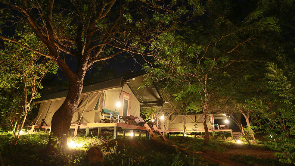 Kulu Safaris