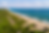 Jungle Beach