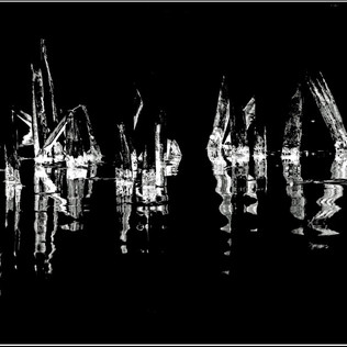 Reflective Sedge