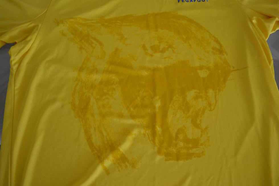 Gabão home 2012-13 - Puma