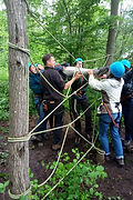 organisation de team building