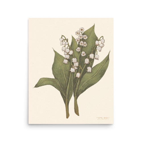 monstera delisiosa Monstera deliciosa “White Monster” – Carnivero