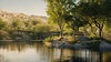 Final Pond Rendering.jpg