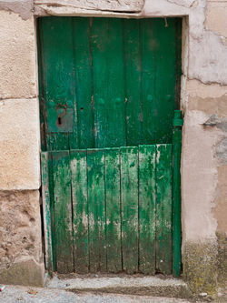 LA PUERTA DE MADERA VERDE
