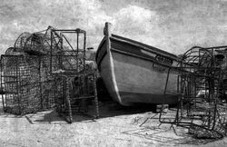 BARCA-DE-PESCA