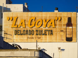 CARTEL-PUBLICITARIO-LA-GOYA
