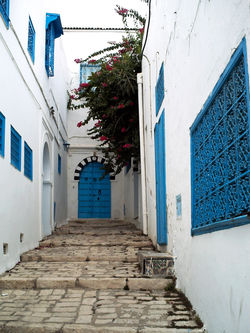 RICON-TUNECINO-EN-BLANCO-Y-AZUL