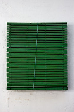 UNA-PERSIANA-VERDE