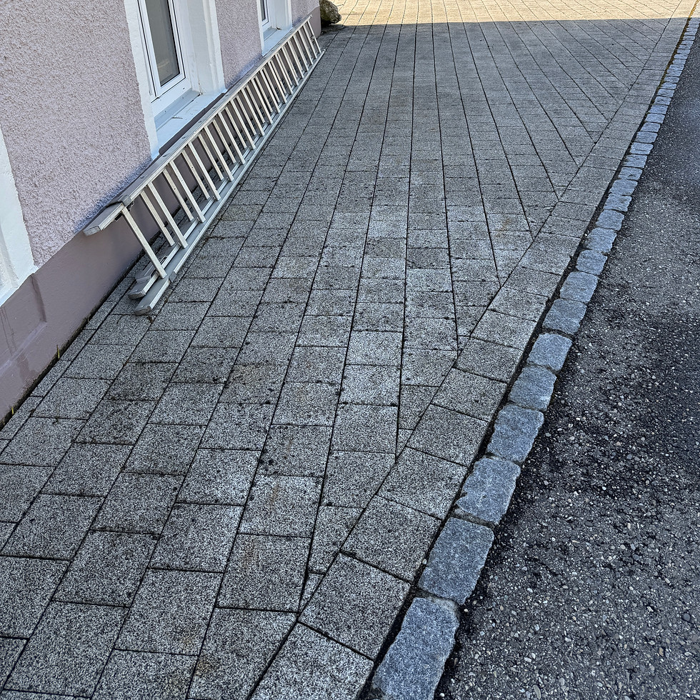 Grundstücksreinigung Aargau – sauberer Aussenbereich Home Care Maska
