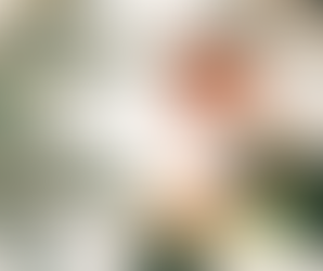 ТАЙНАТА НА 3те СПИСЪКА ЗА УСПЕШНА НОВА ГОДИНА