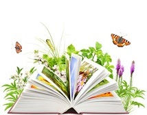 Konkurs recytatorski poezji o tematyce wojennej dla klas VII i VIII