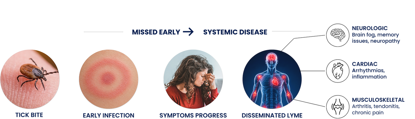 Copy of AcesDiagnostic May 21 2026 Version (1).png