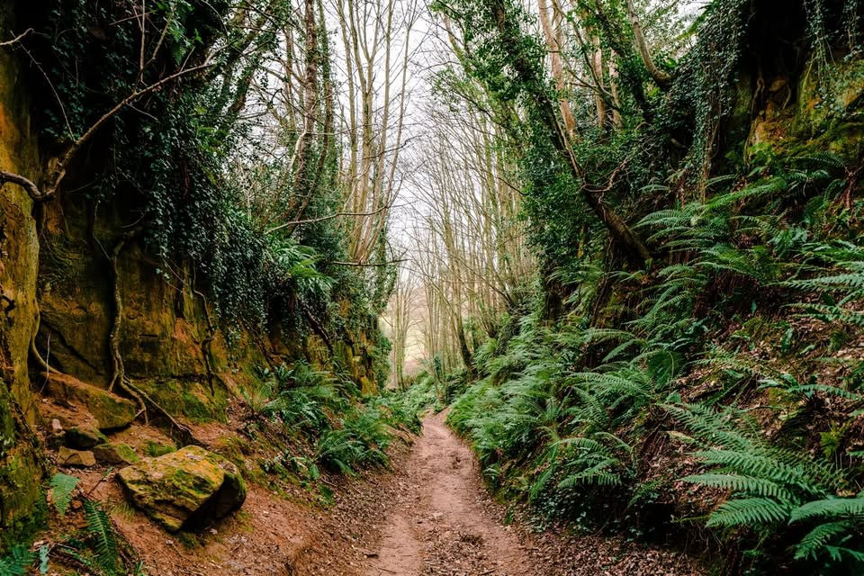 Symondsbury Ride