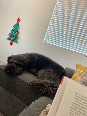 A photo of pages of a book, and a black dog sleeping on the couch.