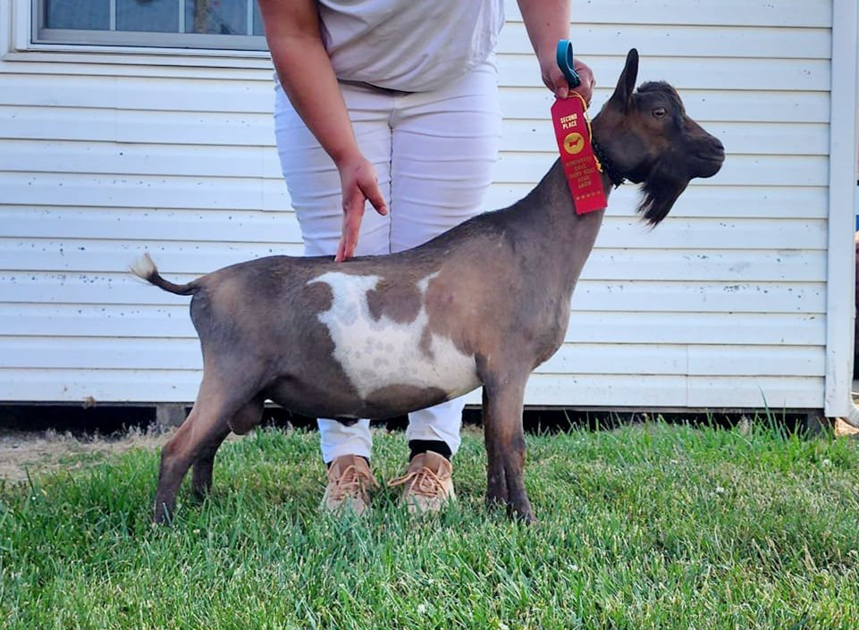 Hilltown Meadows Stone's Throw