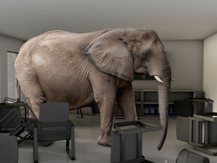 Talking About Hard Things in 2025: The Power of Naming the Elephant