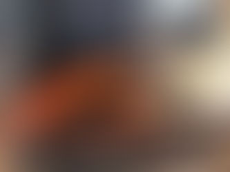 Professional photographs of the Freeland Residence