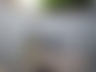 Foundation poured, next the concrete roof