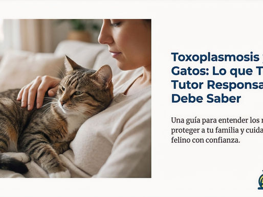 Toxoplasmosis y Gatos: Lo que Todo Tutor Responsable debe saber