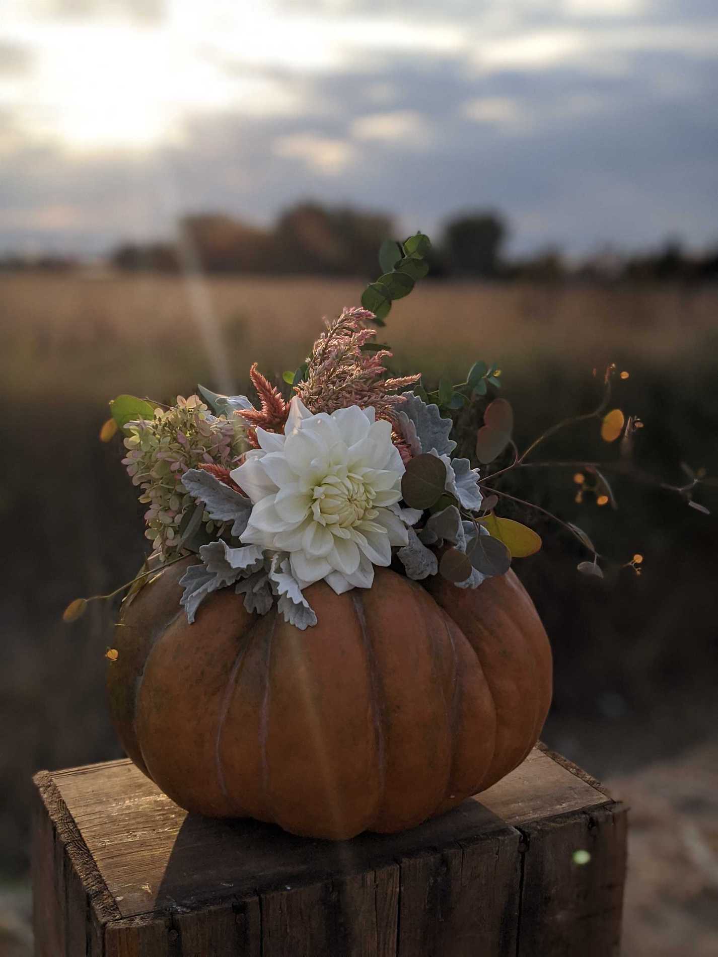 Thanksgiving