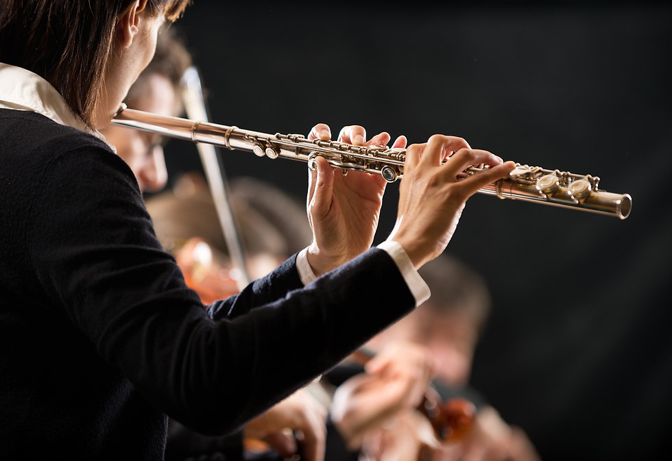 Flute 65852957.jpeg